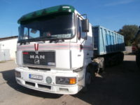 Man TGX 19.403